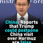 China_Denies_Reports_of_Postponed_Trump_Visit__Stresses_Ongoing_Communication video poster