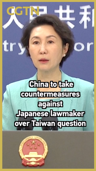 China_Imposes_Countermeasures_on_Japanese_Lawmaker_Over_Taiwan_Ties video poster