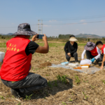 China_Overhauls_Agricultural_Census_with_Tech_Driven_Reforms_for_2026