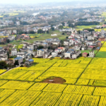 China_Prioritizes_Rural_Revitalization__Poverty_Prevention_in_2026_Agenda