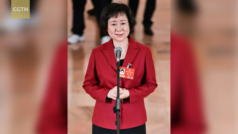 China_Pushes_Global_Cultural_Ties_Through_Language_Exchange_Initiatives video poster