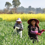 China_Sets_725_Million_Tonne_Grain_Target_by_2030_to_Strengthen_Food_Security