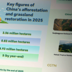 China_Surpasses_3_5M_Hectares_of_New_Forests_in_2025__Boosts_Green_Agenda