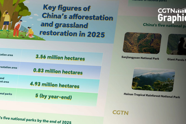China_Surpasses_3_5M_Hectares_of_New_Forests_in_2025__Boosts_Green_Agenda