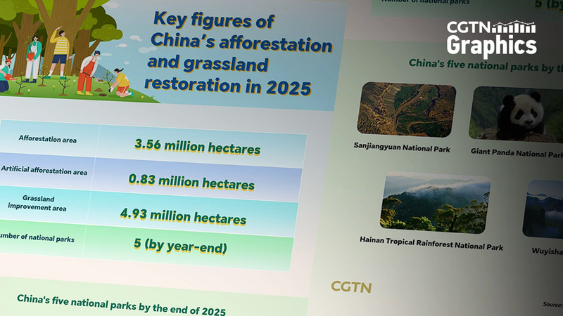 China_Surpasses_3_5M_Hectares_of_New_Forests_in_2025__Boosts_Green_Agenda