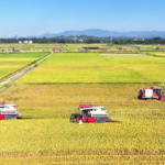 China_Unveils_109_Major_Projects_in_15th_Five_Year_Plan_for_Food__Energy_Security