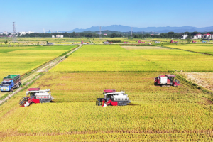 China_Unveils_109_Major_Projects_in_15th_Five_Year_Plan_for_Food__Energy_Security