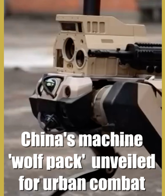 China_Unveils_Advanced__Wolf_Pack__Combat_Robots_for_Urban_Warfare video poster