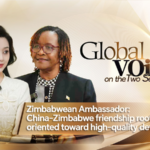 China_Zimbabwe_Ties_Deepen_with_Focus_on_Green_Energy__Trade video poster