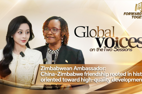 China_Zimbabwe_Ties_Deepen_with_Focus_on_Green_Energy__Trade video poster