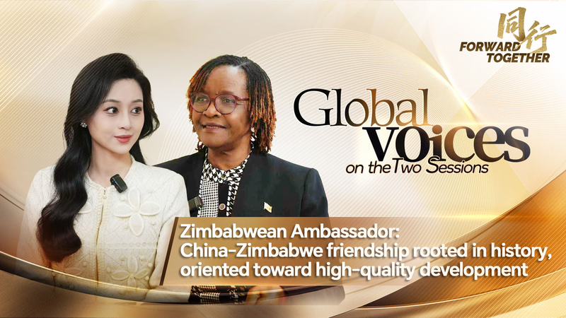China_Zimbabwe_Ties_Deepen_with_Focus_on_Green_Energy__Trade video poster