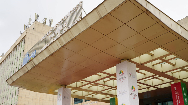 China__Africa_Forge_Industrial_Ties_at_WTO_Talks_in_Cameroon video poster