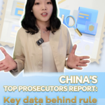 China_s_2025_Procuratorate_Report_Highlights_Rule_of_Law_Milestones video poster