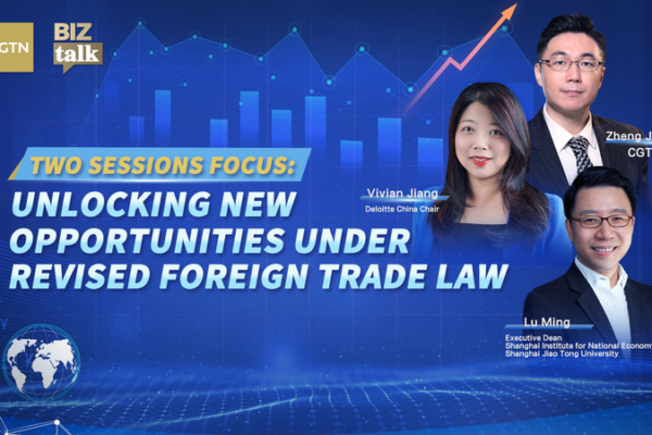 China_s_2026_Two_Sessions_Spotlight_Foreign_Trade_Law_Revisions__Global_Opportunities video poster