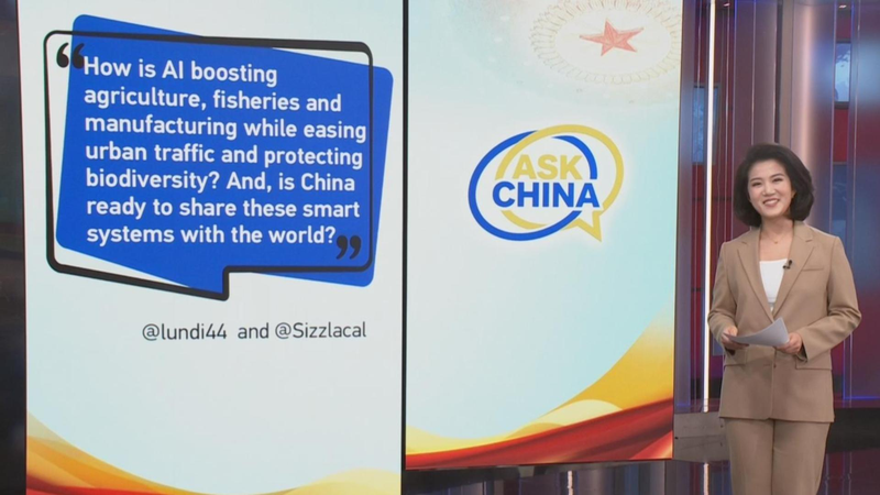 China_s_AI_Ambitions_Take_Center_Stage_Ahead_of_2026_Two_Sessions video poster