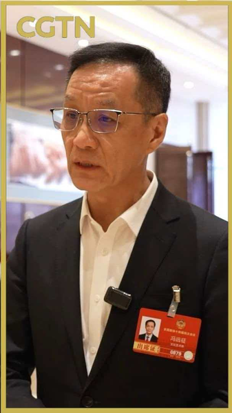 China_s_Cultural_Heritage_Takes_Global_Stage_at_Two_Sessions_Forum video poster