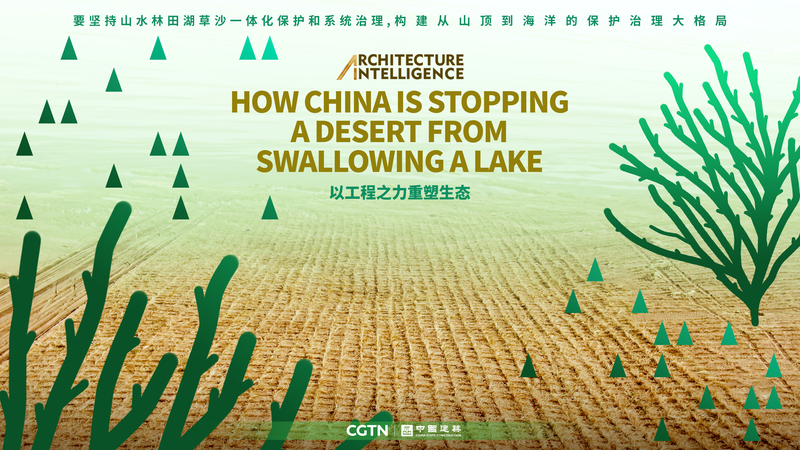 China_s_Engineering_Marvel__Halting_Desert_Expansion_to_Save_a_Lake video poster