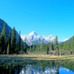 China_s_Environmental_Code__Unifying_Laws_for_a_Greener_Future video poster