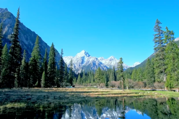 China_s_Environmental_Code__Unifying_Laws_for_a_Greener_Future video poster