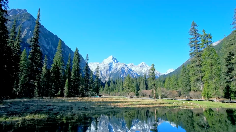 China_s_Environmental_Code__Unifying_Laws_for_a_Greener_Future video poster