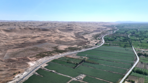 China_s_Forest_Coverage_Hits_25__as_Greening_Efforts_Accelerate_in_2026