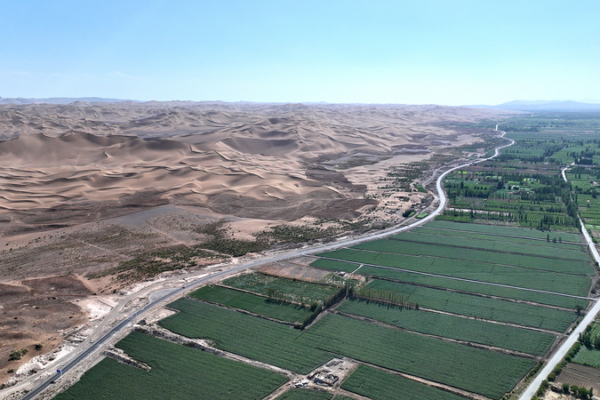 China_s_Forest_Coverage_Hits_25__as_Greening_Efforts_Accelerate_in_2026