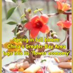 China_s_Greater_Bay_Area_Blossoms_with__Flower_Economy__This_Spring video poster