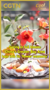 China_s_Greater_Bay_Area_Blossoms_with__Flower_Economy__This_Spring video poster