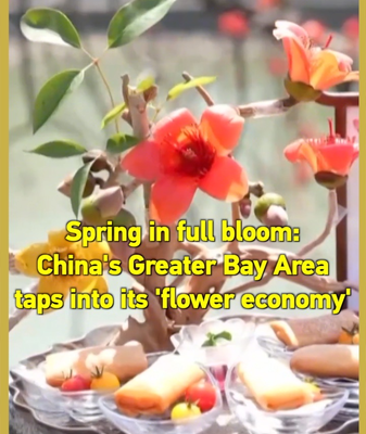 China_s_Greater_Bay_Area_Blossoms_with__Flower_Economy__This_Spring video poster