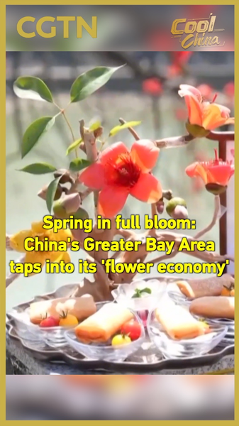China_s_Greater_Bay_Area_Blossoms_with__Flower_Economy__This_Spring video poster