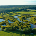 China_s_Greening_Milestone__Forest_and_Grass_Coverage_Tops_56__in_2026