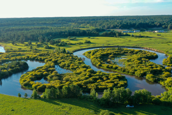 China_s_Greening_Milestone__Forest_and_Grass_Coverage_Tops_56__in_2026