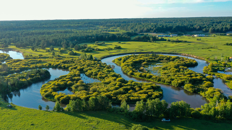 China_s_Greening_Milestone__Forest_and_Grass_Coverage_Tops_56__in_2026