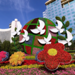 China_s_Head_of_State_Diplomacy_Drives_Global_Engagement_in_2026 video poster