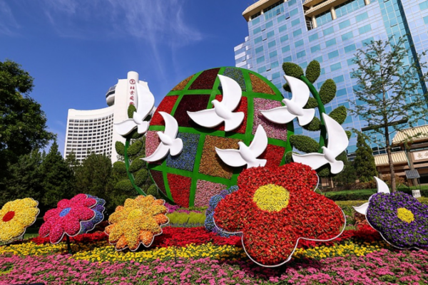 China_s_Head_of_State_Diplomacy_Drives_Global_Engagement_in_2026 video poster