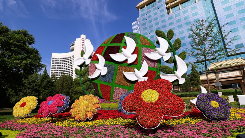 China_s_Head_of_State_Diplomacy_Drives_Global_Engagement_in_2026 video poster