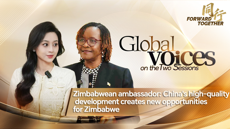 China_s_High_Quality_Development_Opens_Doors_for_Zimbabwe__Says_Envoy video poster