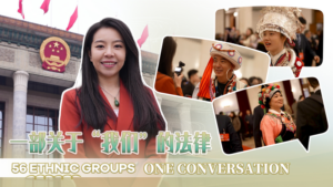 China_s_NPC_Debates_Ethnic_Unity_Law_Amid_Diverse_Representation video poster