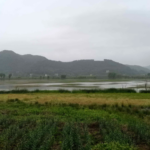 China_s_New_Nature_Reserve_Rules_Balance_Ecology_and_Livelihoods