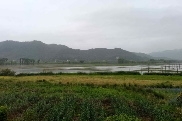 China_s_New_Nature_Reserve_Rules_Balance_Ecology_and_Livelihoods