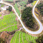 China_s_Poverty_Eradication_Model_Gains_Global_Recognition_in_2026 - Khabar Asia China_s_Poverty_Eradication_Model_Gains_Global_Recognition_in_2026