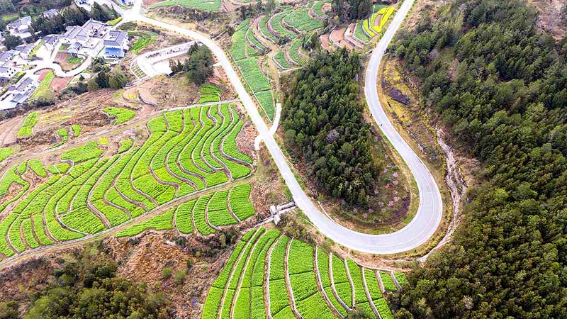 China_s_Poverty_Eradication_Model_Gains_Global_Recognition_in_2026 - Khabar Asia China_s_Poverty_Eradication_Model_Gains_Global_Recognition_in_2026