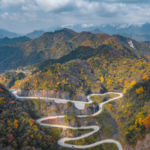 China_s_Qinling_Mountains_See_Notable_Ecological_Recovery__Report_Finds