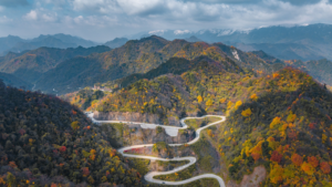 China_s_Qinling_Mountains_See_Notable_Ecological_Recovery__Report_Finds