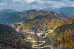 China_s_Qinling_Mountains_See_Notable_Ecological_Recovery__Report_Finds