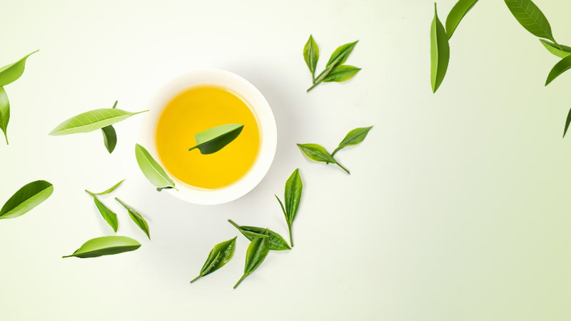 China_s_Tea_Plantations_Blend_Tradition_with_Modern_Tourism_in_Spring_2026 video poster