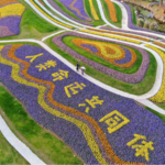 China_s_Vision_for_a_Shared_Global_Future_Gains_Momentum_in_2026