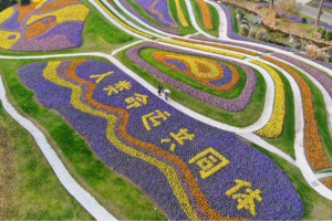 China_s_Vision_for_a_Shared_Global_Future_Gains_Momentum_in_2026