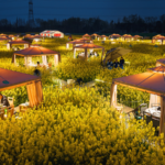 China_s__Flower_Economy__Blooms_as_Spring_Tourism_Thrives_in_2026