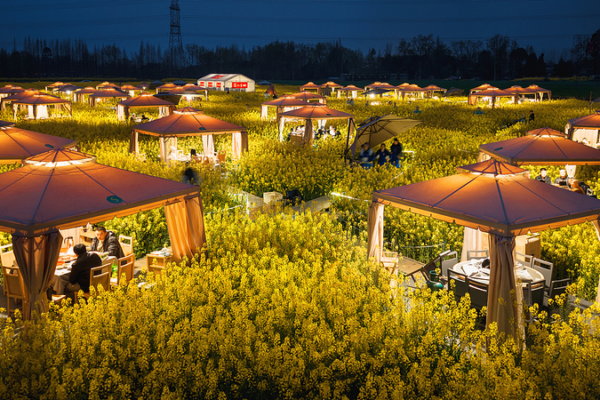 China_s__Flower_Economy__Blooms_as_Spring_Tourism_Thrives_in_2026